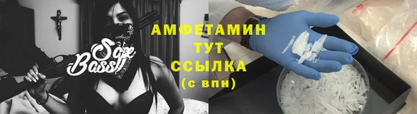 амф Вяземский