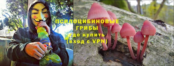 apvp Беломорск