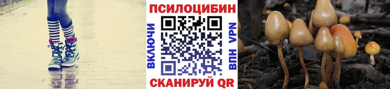 Псилоцибиновые грибы Psilocybine cubensis Болотное